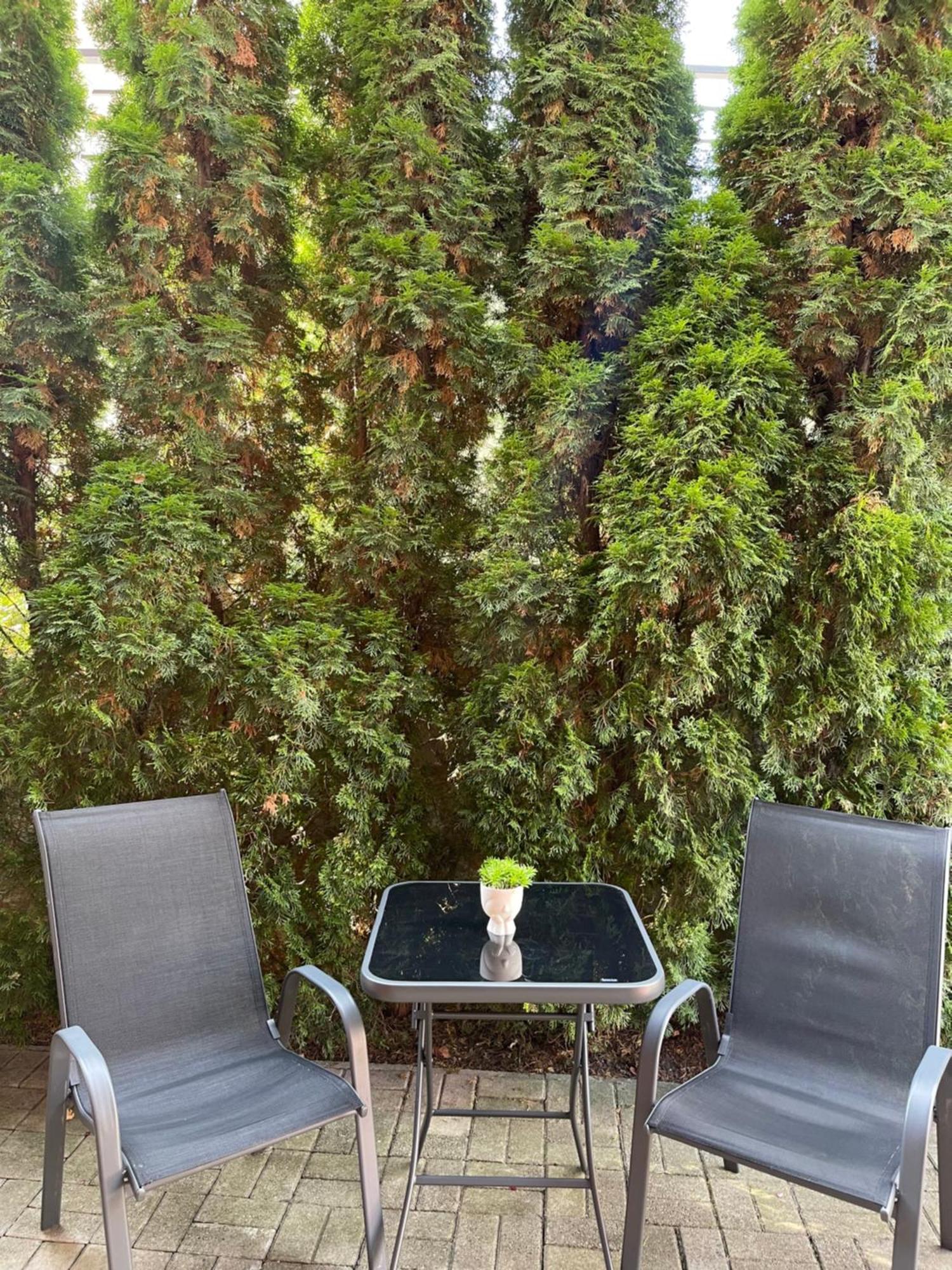 Apartman Gagi Zlatibor Exterior foto